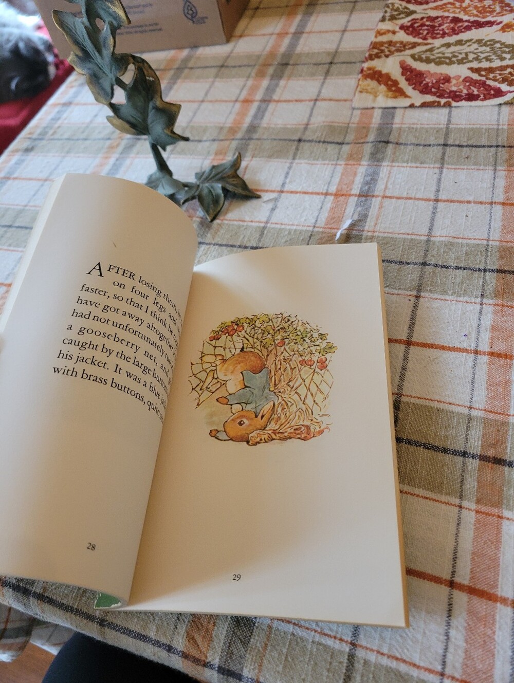Peter Rabbit Barbie With Picture Book! - Picture 8 of 10